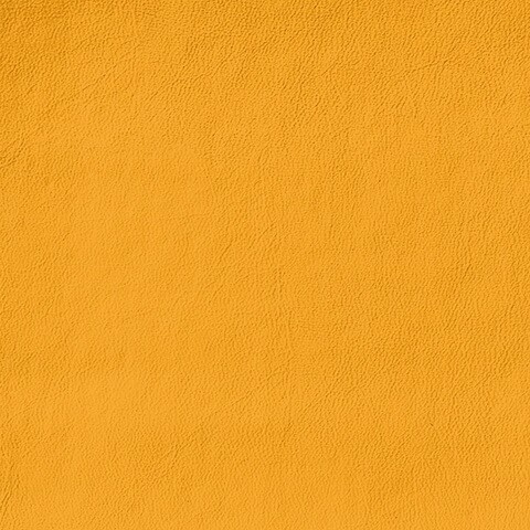 Jaune Maïs