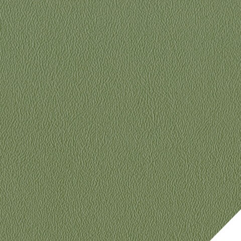 Vert Kaki