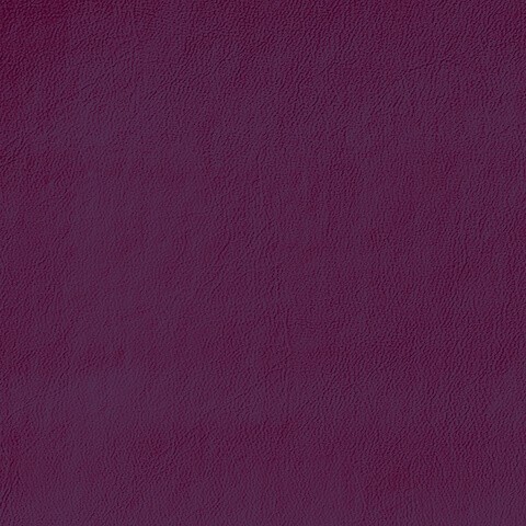 Aubergine